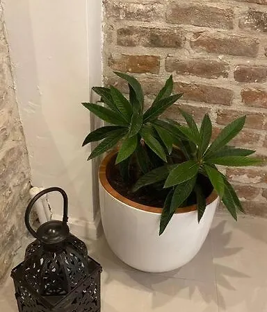 فيلة Casa Bianca أورلا