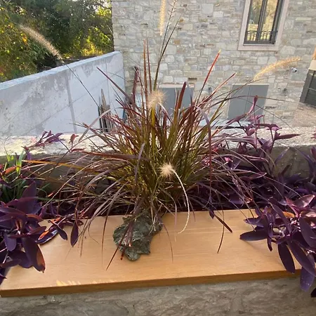 Villa Casa Bianca Urla